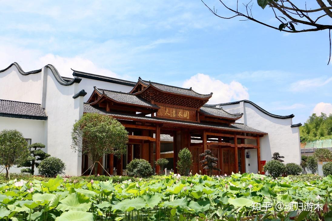 穿越时空的甜蜜天意木国周年盛典小邓丽君等嘉宾空降益阳