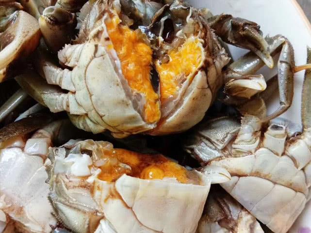 蟹束阁六月黄上市快来一起尝个鲜