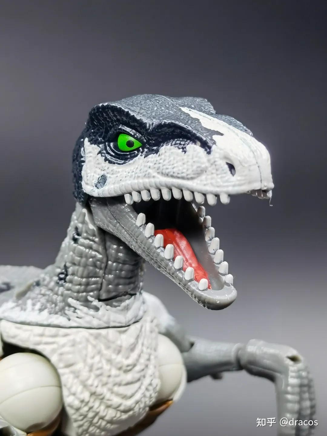 白色的迅猛龙——亚马逊限定王国钢锁开箱 - 知乎