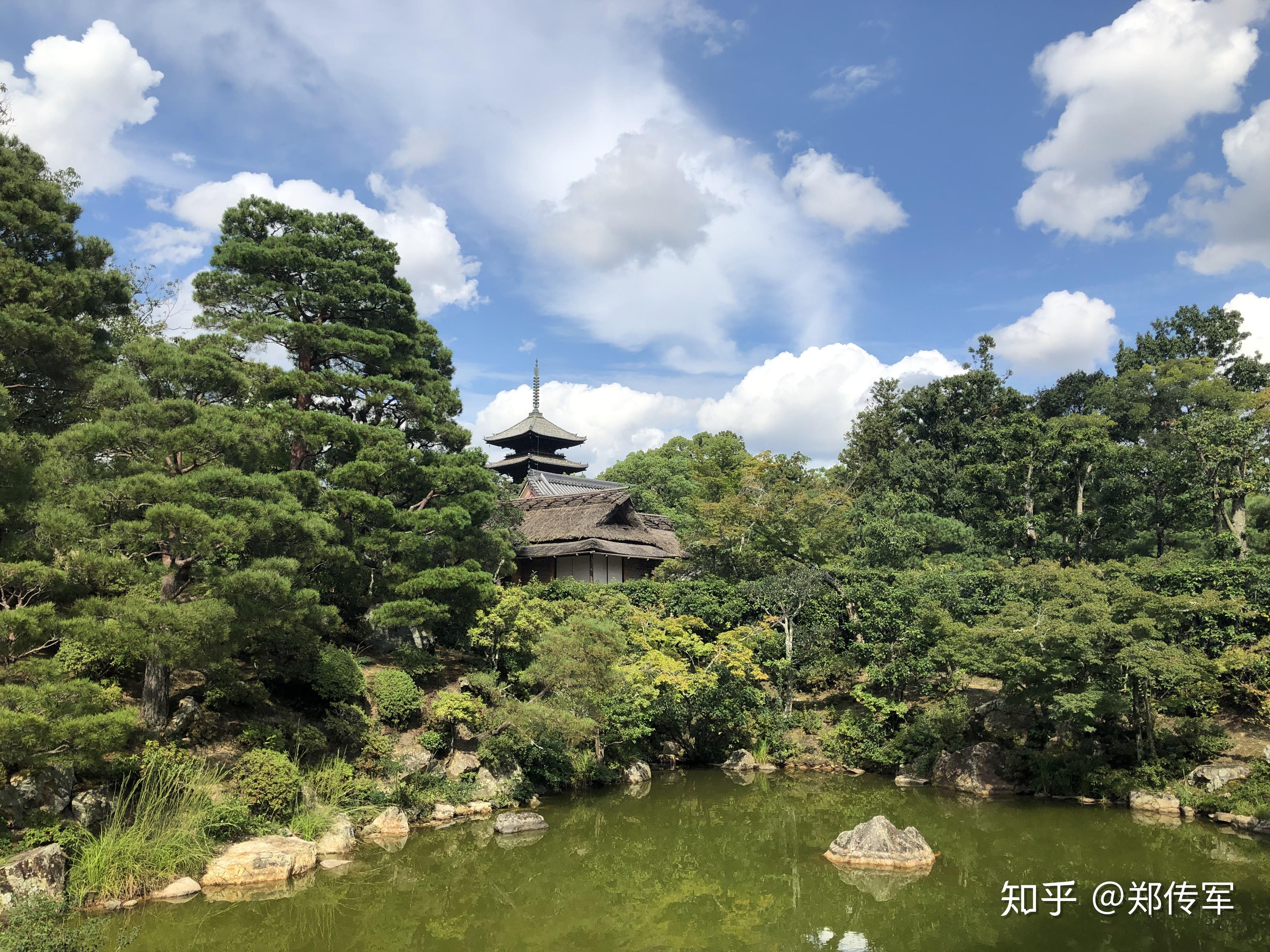 天皇家的仁和寺京都游记
