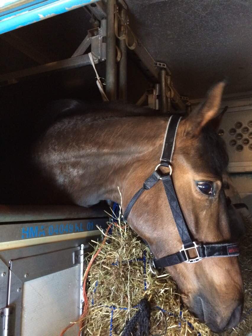 作为航空乘务员,在飞机上遇到过哪些有趣的事