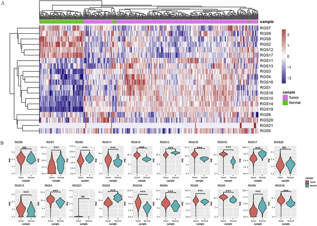 基于家族基因建立预后模型作者基于rgs家族基因表达谱和pfs生存数据