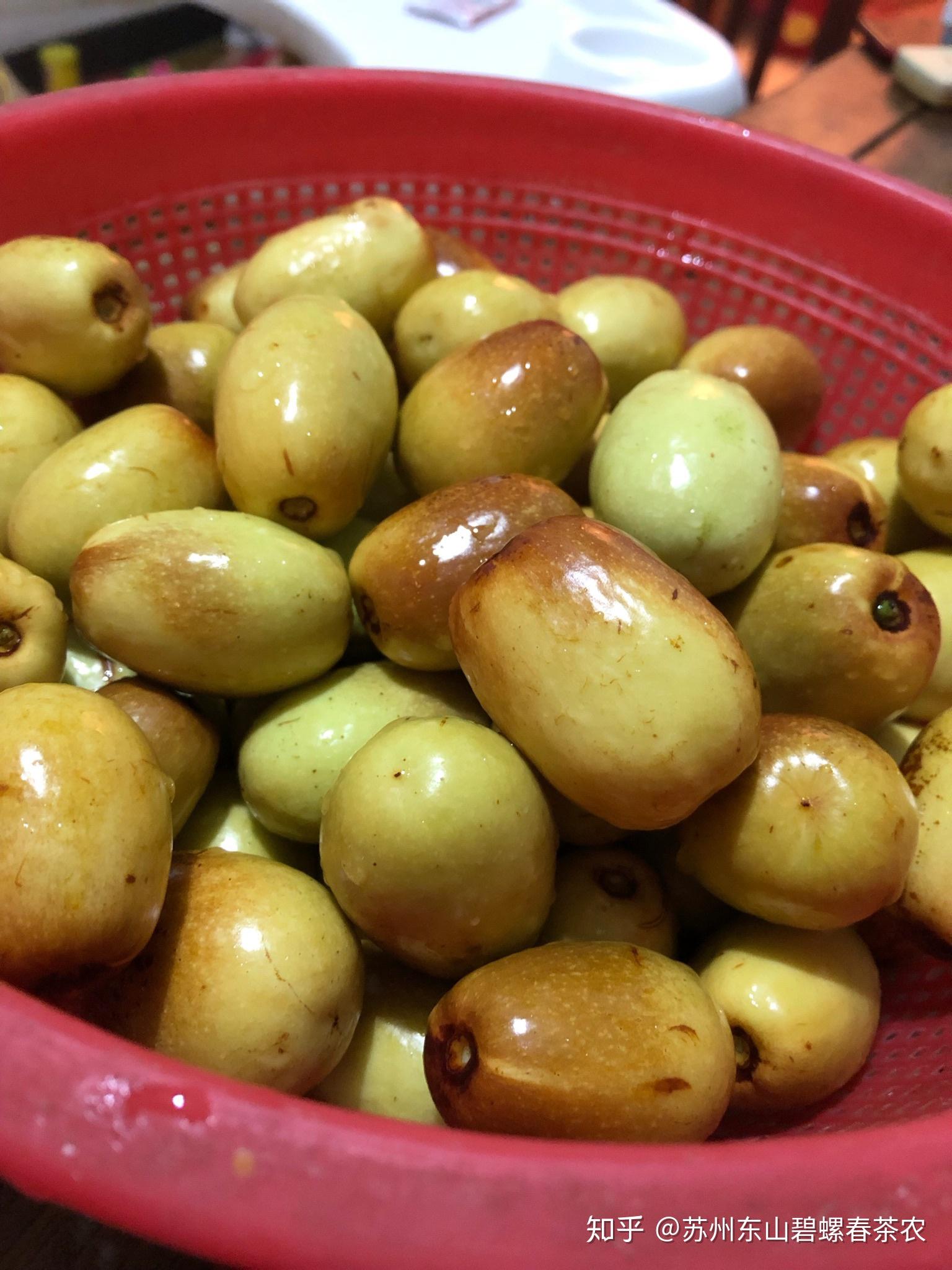 8的东山白蒲枣上市了