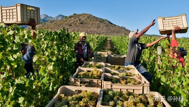 非洲适合发展农业吗?