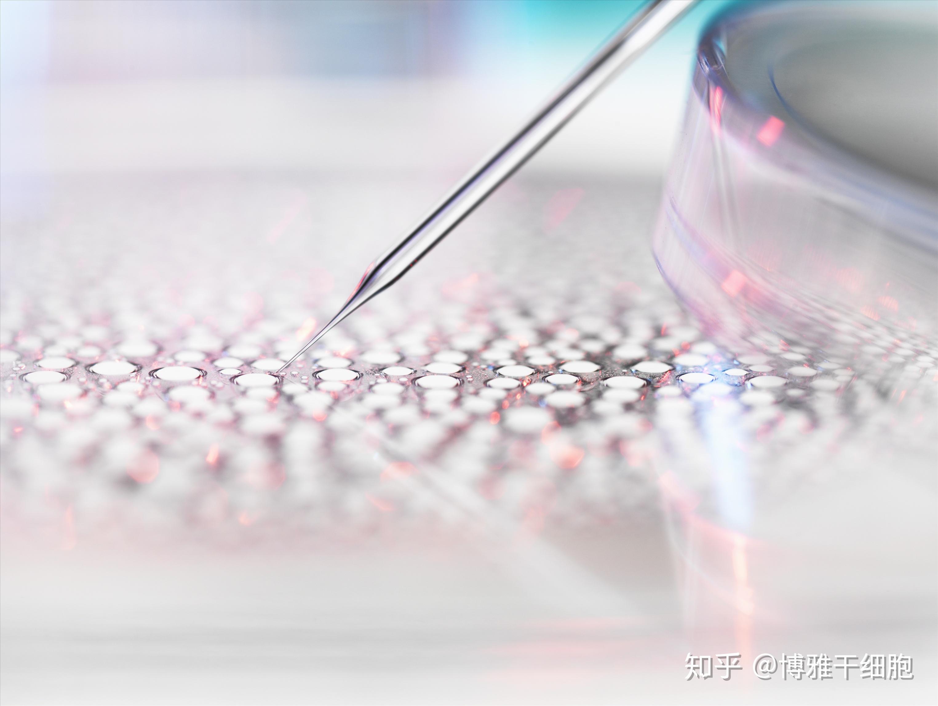 细胞治疗的方法有哪些？让我们一起探究这两种主流疗法。