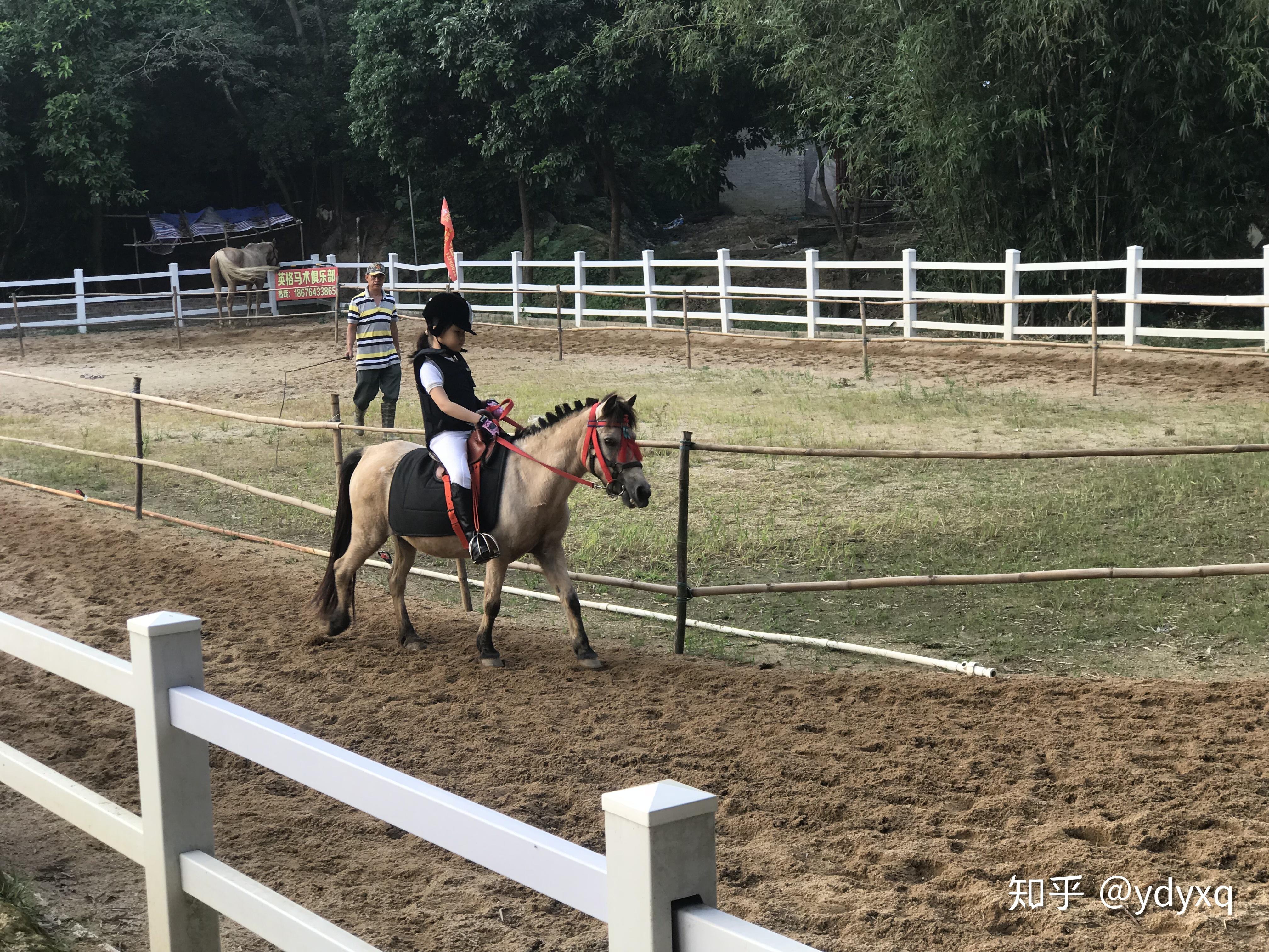 珠海比较专业的骑马场,英格马术俱乐部