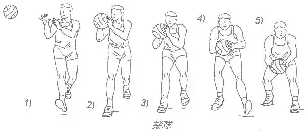 体育课教学分解动作小人图全集挂图