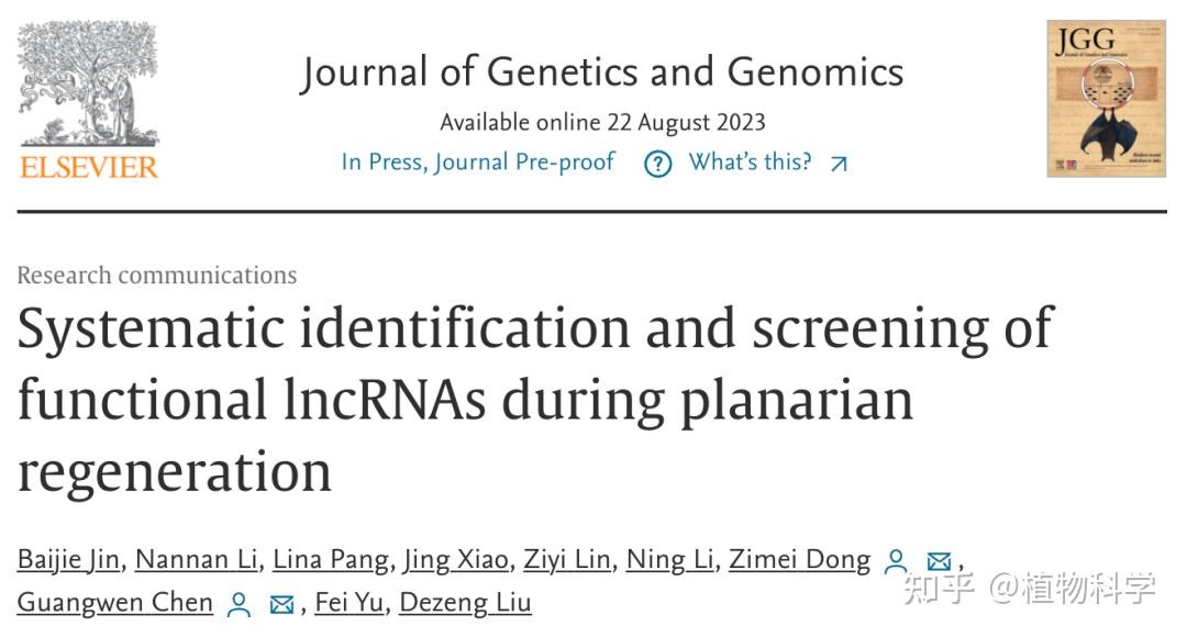 lncRNAs lncrnas