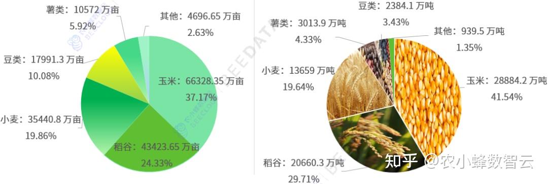 今年年底我国主要粮食作物气象灾害预警覆盖率将达95%以上