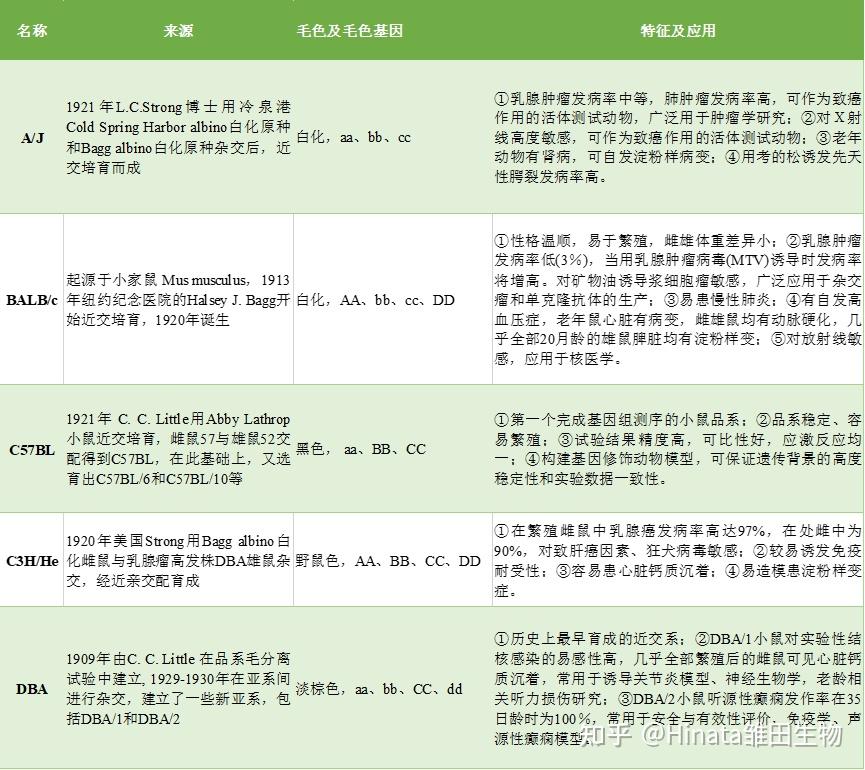 Balb/c, C57, 傻傻分不清楚？一文厘清实验小鼠 - 知乎