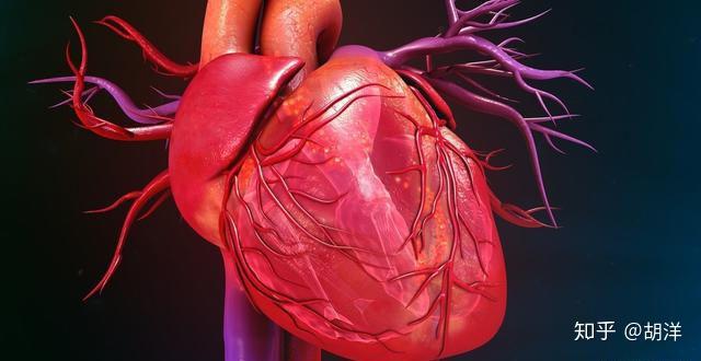 体检经常发现三尖瓣二尖瓣有倒流，是严重的心脏病吗？还能活多久- 知乎