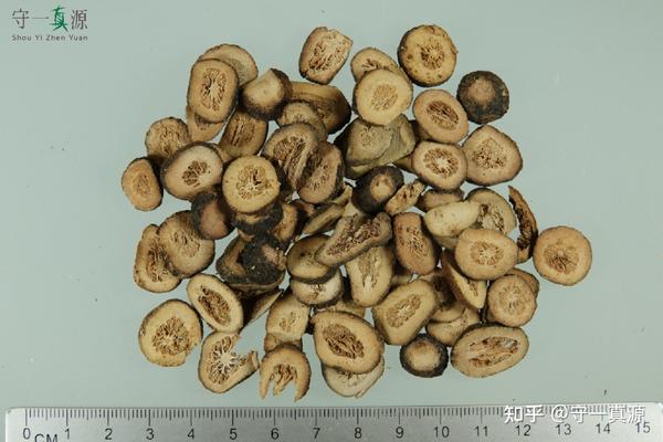 中药鉴定 | 枳实的真伪、优劣鉴别 - 知乎