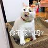 考公务员是否真的看学历 知乎 考公务员是否真的看学历 知乎
