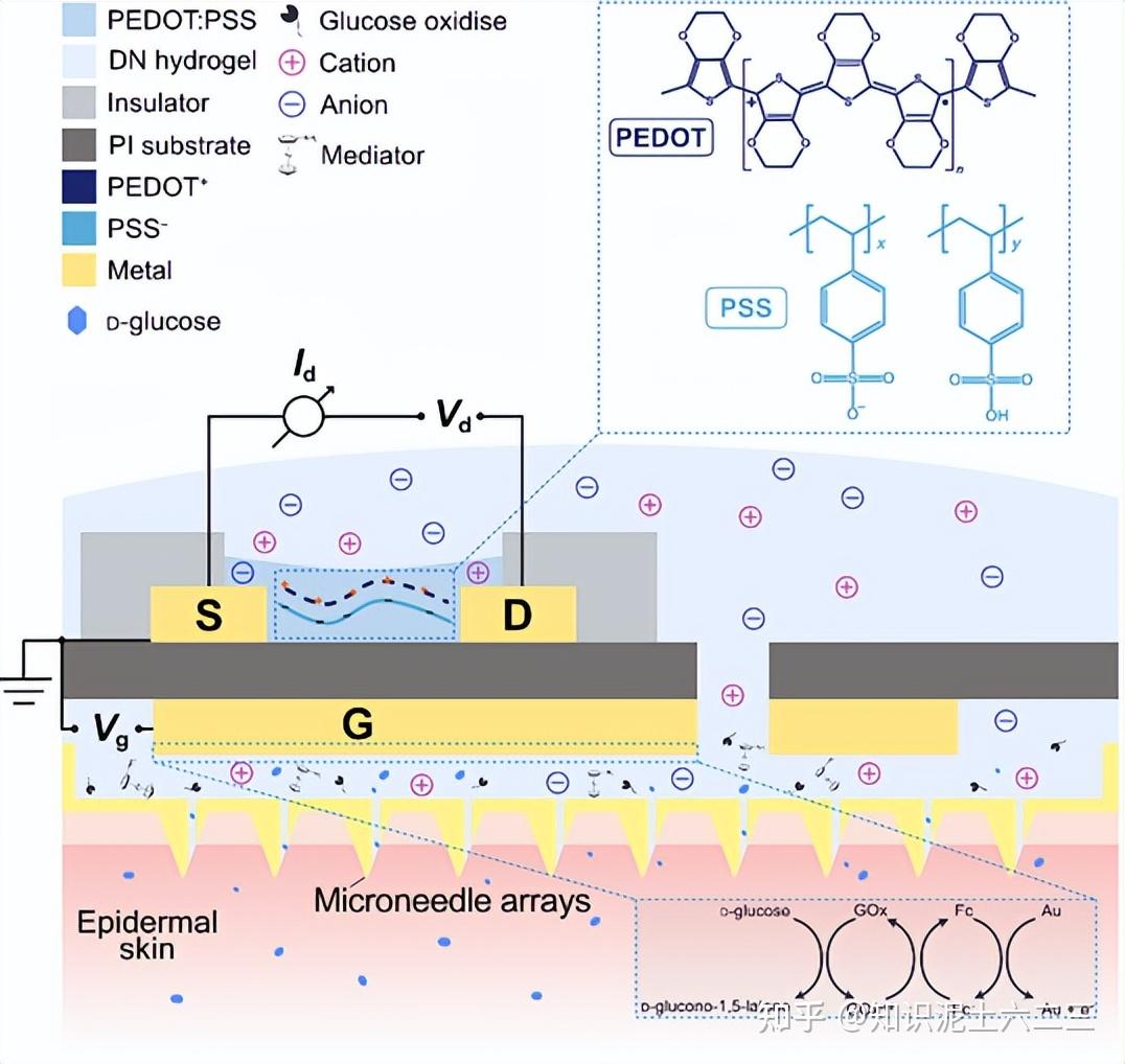 精准测糖：OECT - CGM 系统 - 知乎