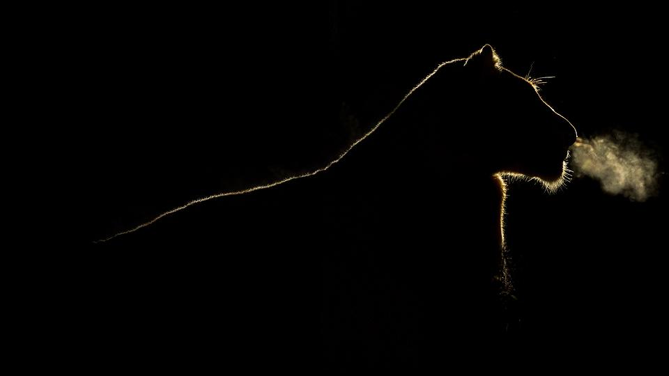 v2-1f4200a436010808511bb896c45d2fd8_1440w.jpg?source=172ae18b