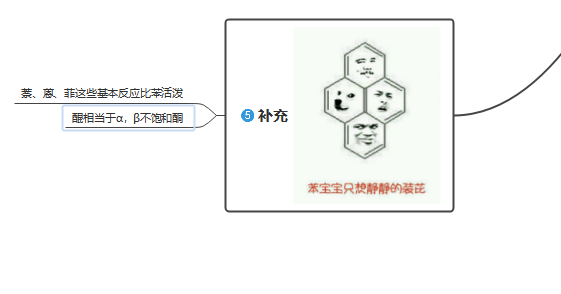 苯思维导图图片