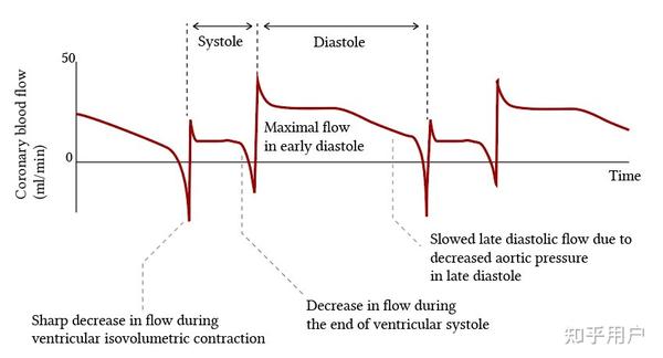 cardiac-cycle-anatomy-and-physiology