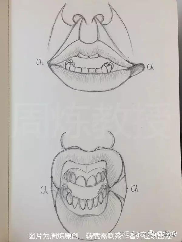 面部横裂图片