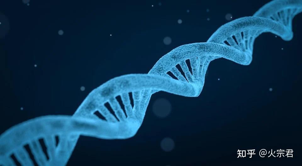 我国科学家预测,新冠疫情大流行2023年将结束?病毒为什么会变异