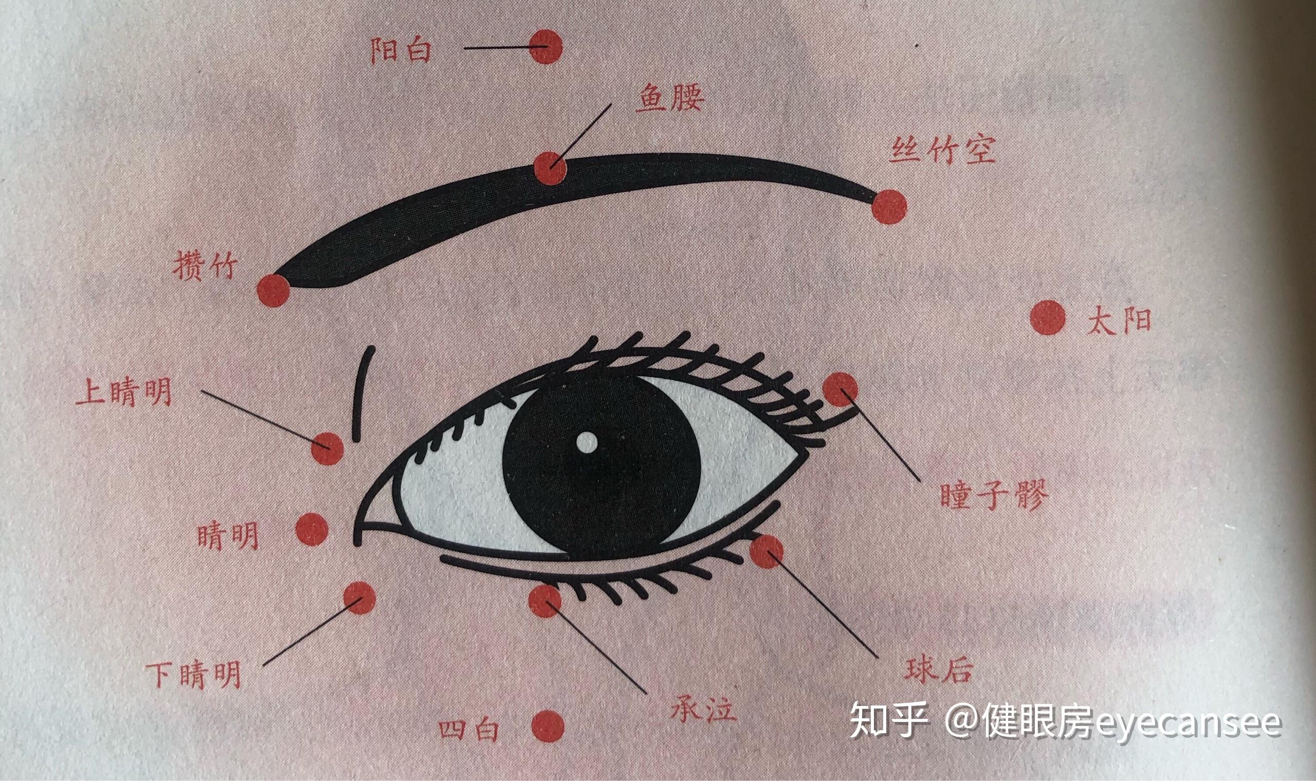 用中指的指腹,注意按在眼睛周围的12个穴位上,每个穴位都轻轻揉三圈后