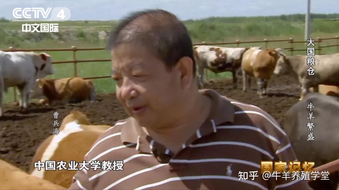 他叫曹兵海,中国农业大学教授,中国国家肉牛牦牛产业技术体系首席科学