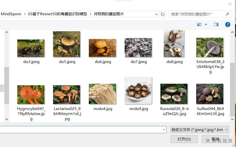 手把手教你使用ModelArts的自动学习识别毒蘑菇分类 手把手教你使用ModelArts的自动学习识别毒蘑菇分类