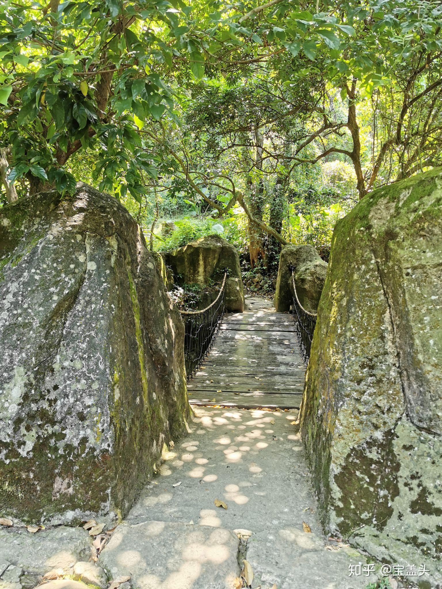 深圳梧桐山半日遊