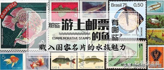 原来这些鱼儿都游上过邮票~ - 知乎