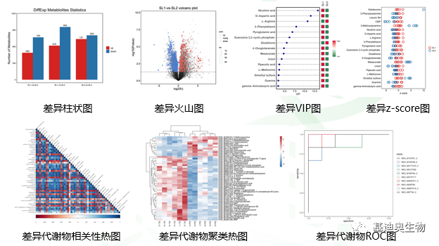 代谢组学数据分析结果如何呈现？ - 知乎