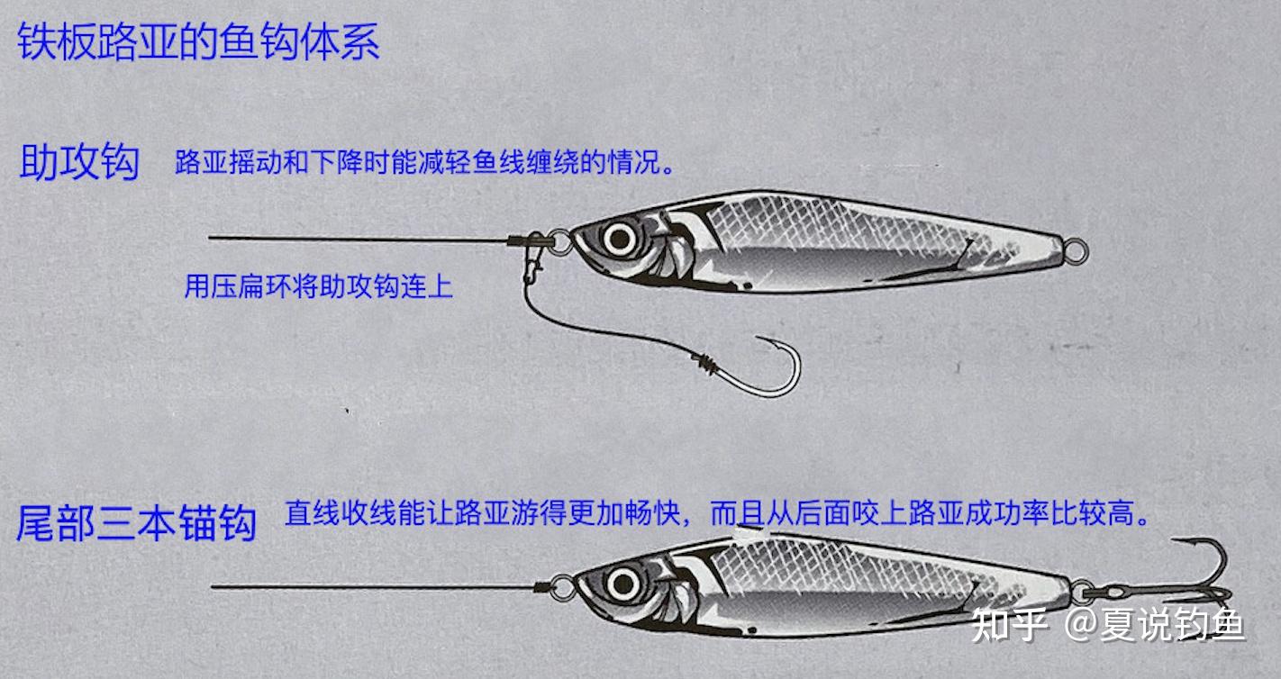 叉尾路亚钓法图片