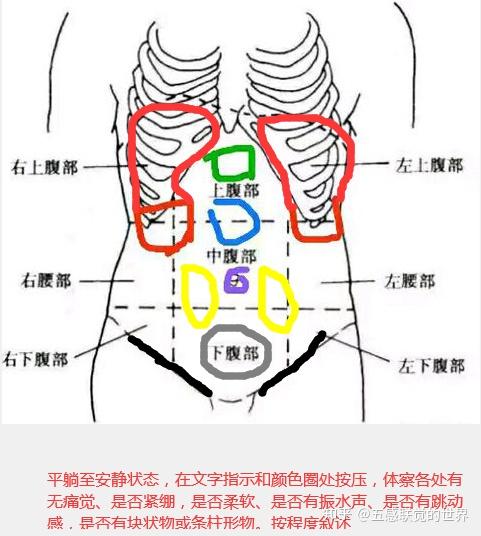 男性左下腹部位置图片图片