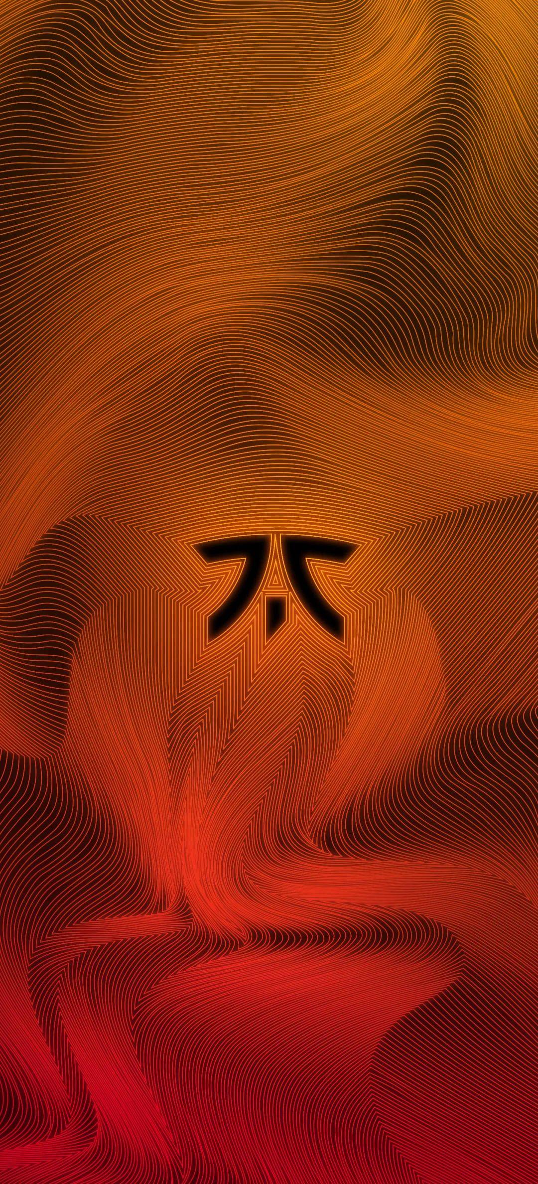 csgo壁纸战队fnatic