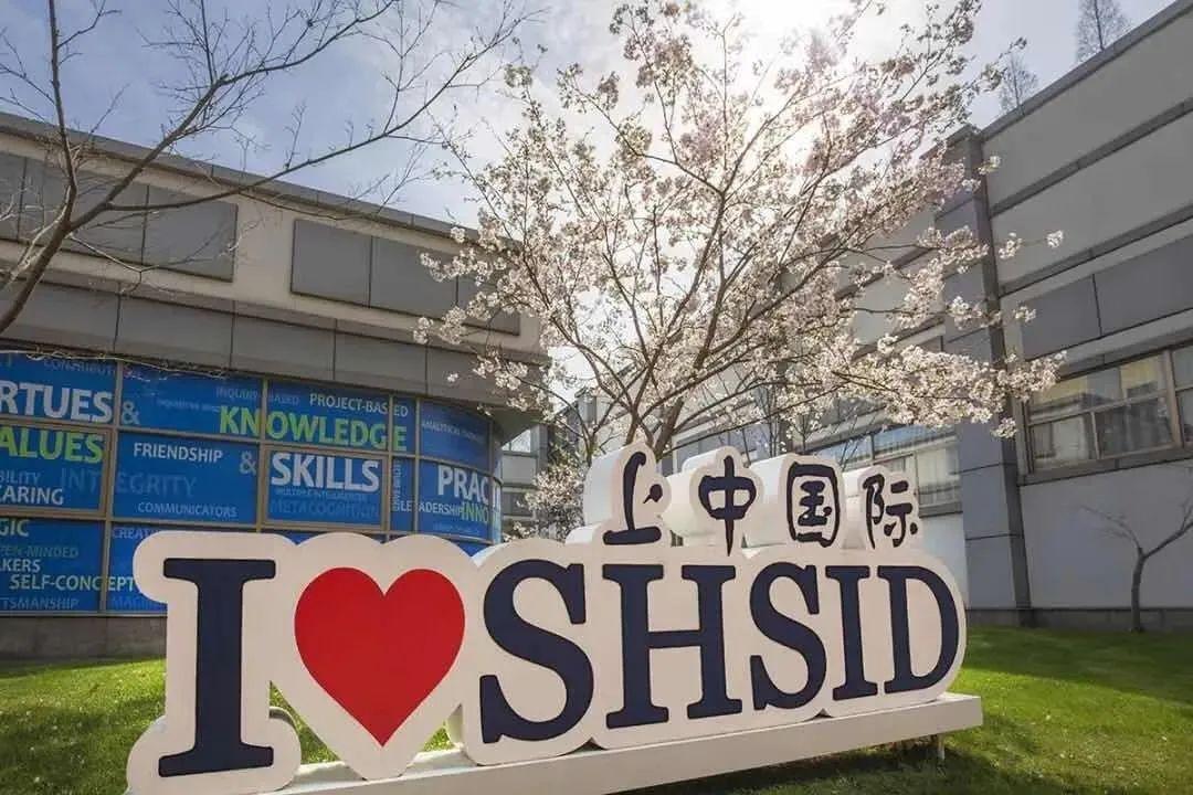 "上中系"学校,是指与上海中学合作办学的学校.