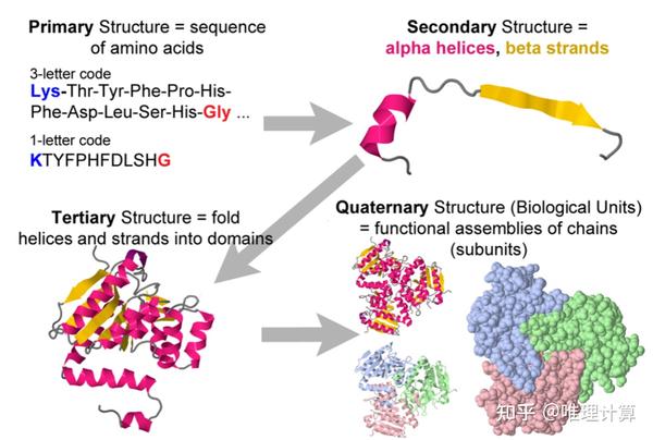 get-6-pdb