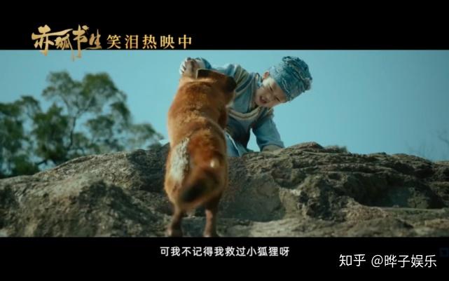 看完电影赤狐书生,大呼被这狐狸帅到!结局也是非常意难平了! - 知乎