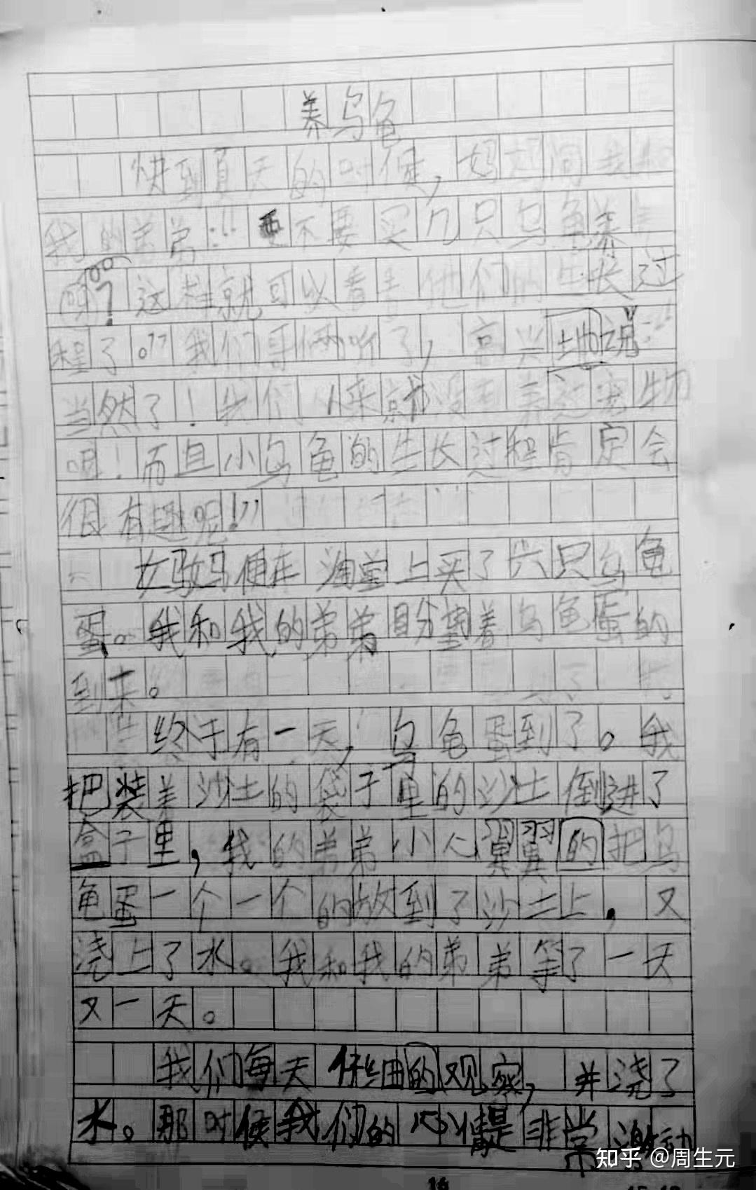 陪着外孙写作文 - 知乎