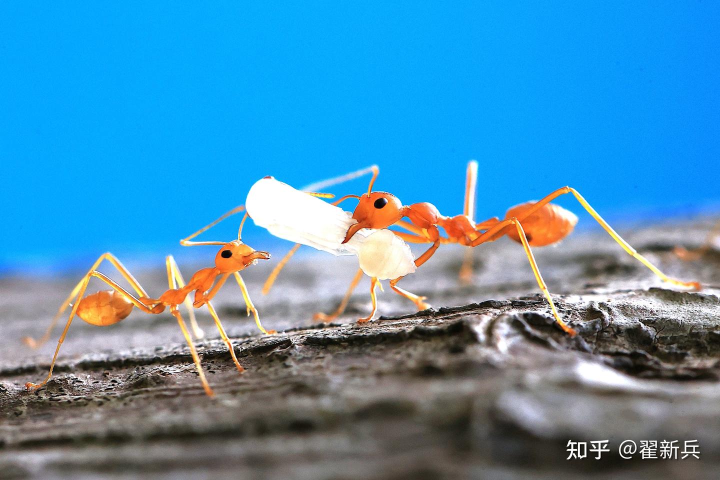 人间瑕疵指南57:热爱