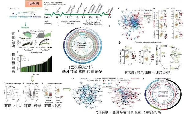 【多层组学汇总】平均IF:22 高质量期刊文章,您值得拥有~ - 知乎