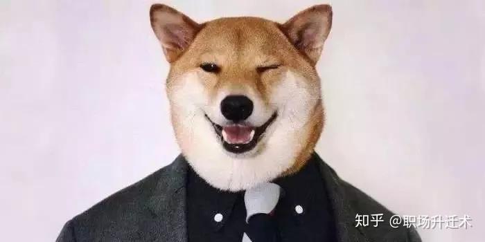 3,不居功自傲,低调行事献出了精妙的计策,被领导采纳,也别居功自傲