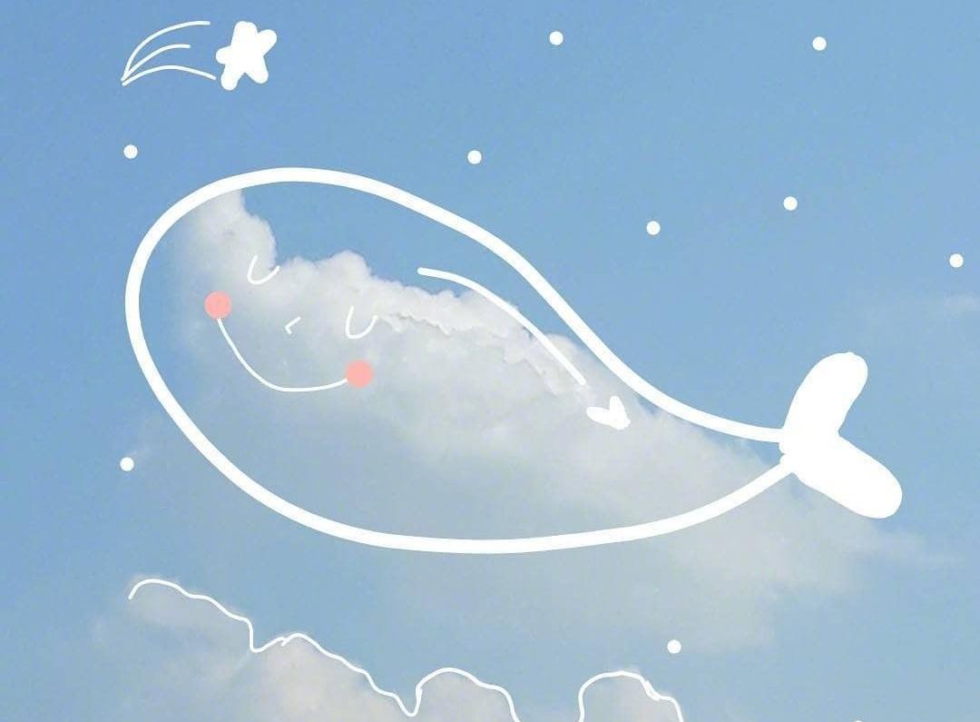 干净治愈系文案不要因为没有掌声而丢了自信