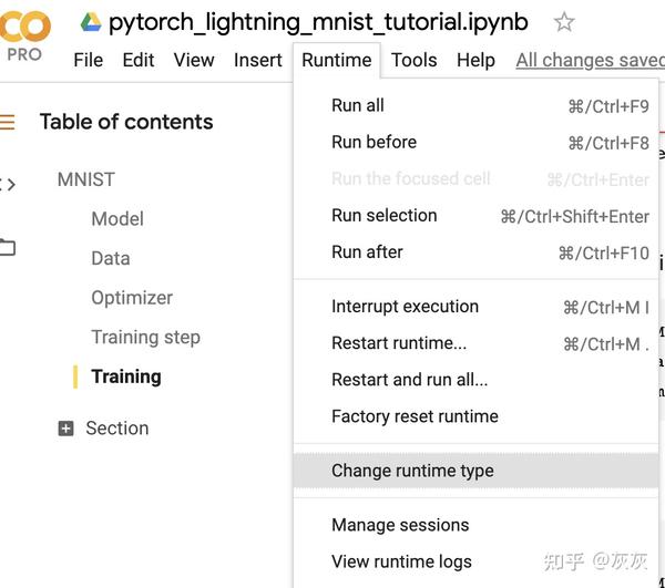 Pytorch lightning 