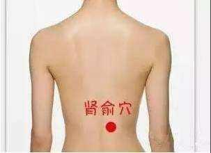 背部疼痛对应部位按摩 v2-1fef268e07a49d6dc0b2537e9dcded52_b.jpg