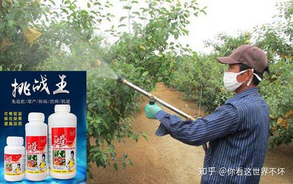 果树保产施肥用哪些措施比较有效 知乎 