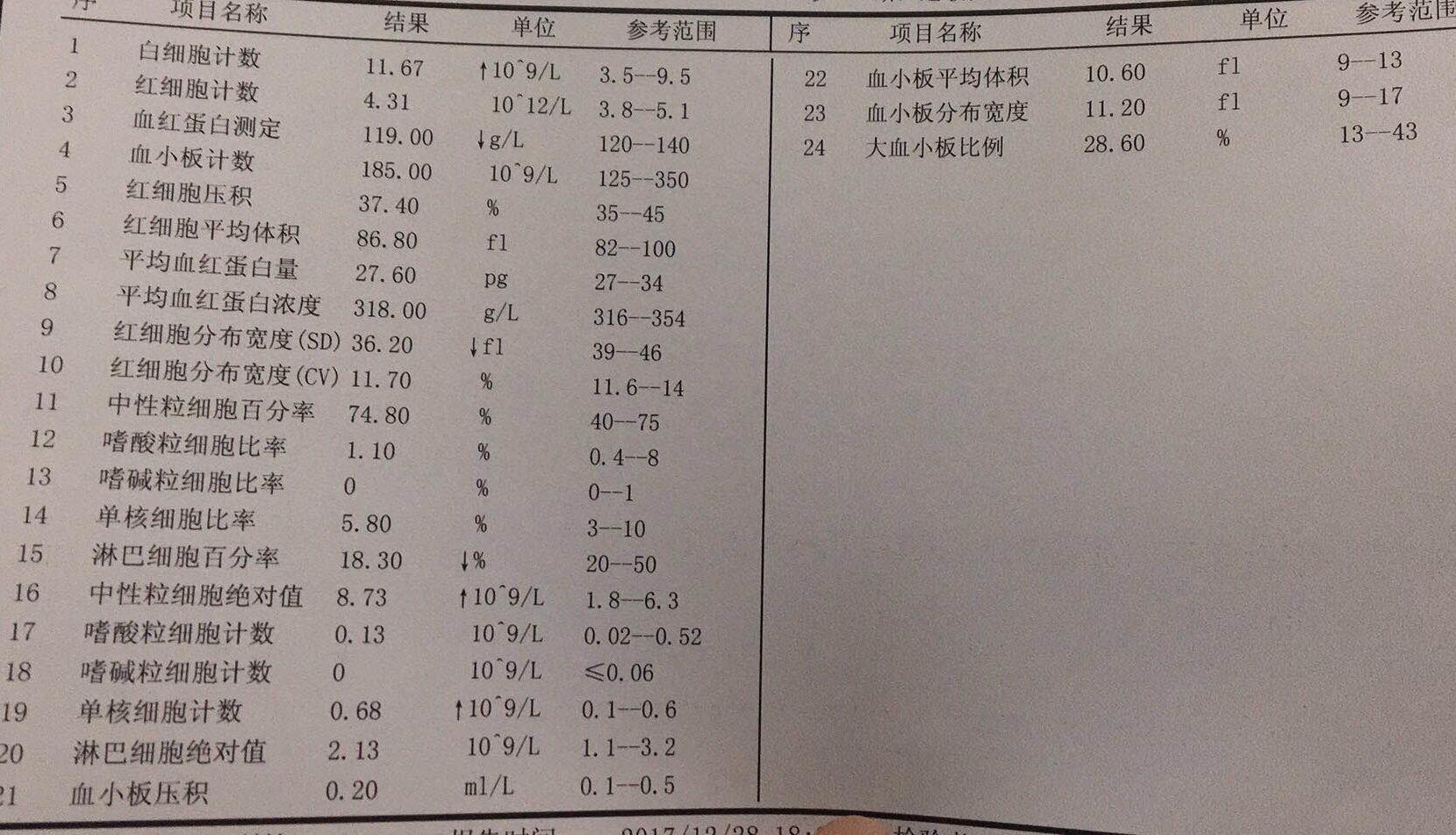 11岁女儿的过敏性紫癜