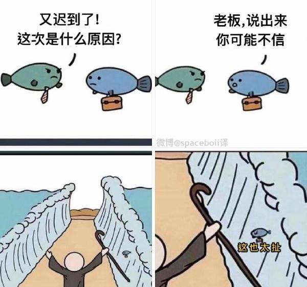 无眉图片带字搞笑图片