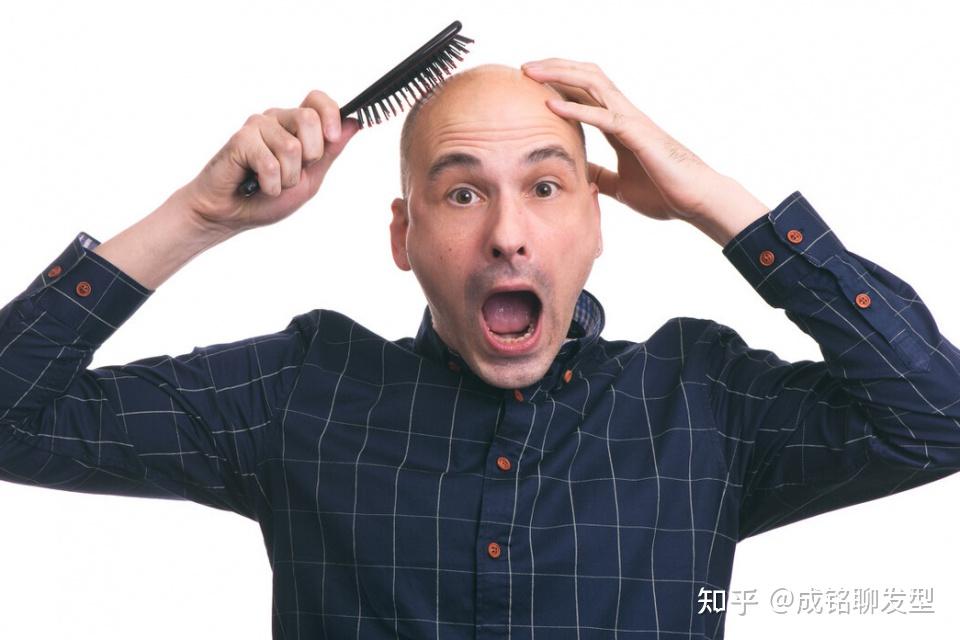 头发是从发根长,还是从发梢长?头发掉了,还会长出来吗? - 知乎