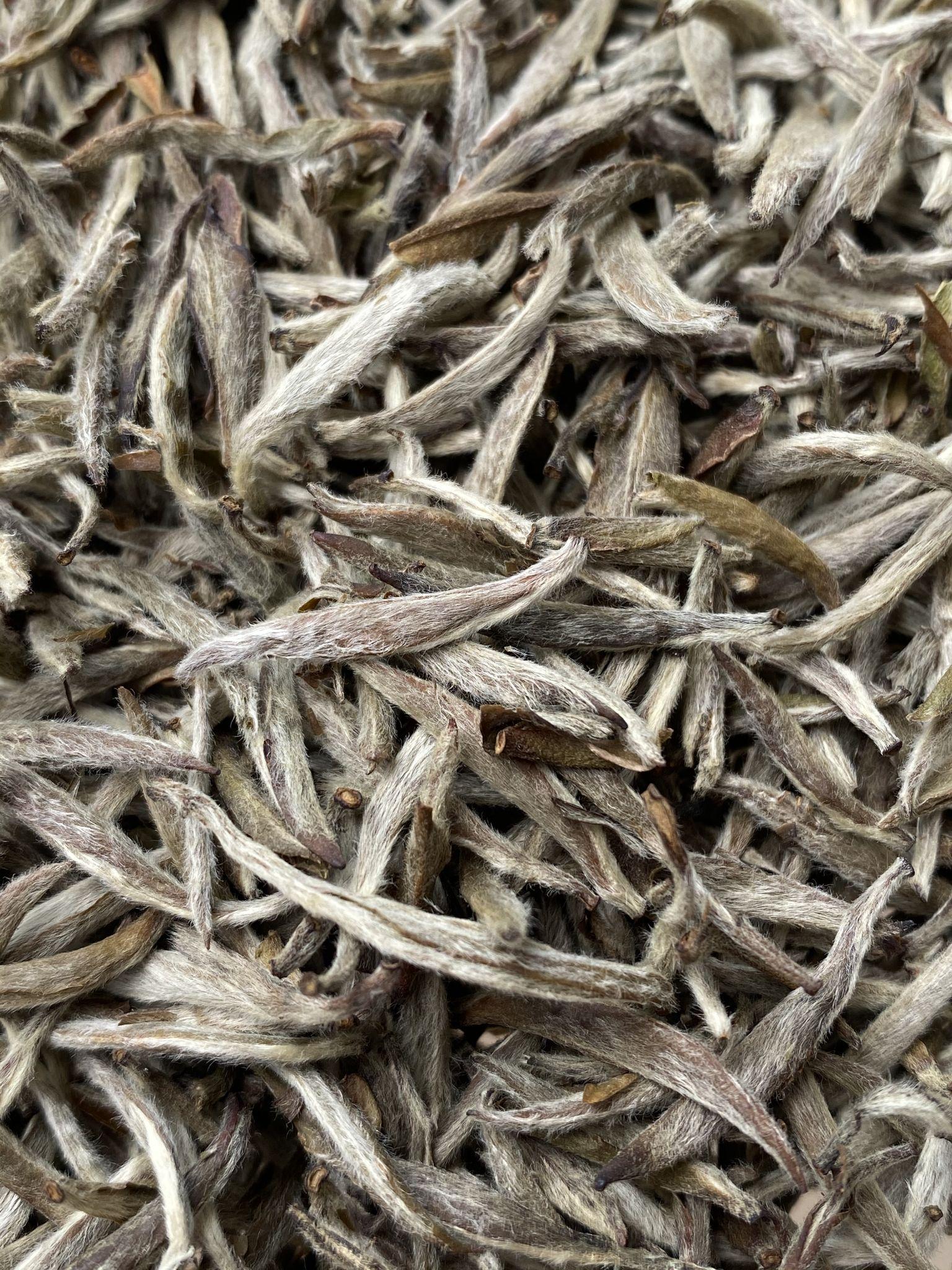 福鼎正宗白毫银针毫香是何方神圣