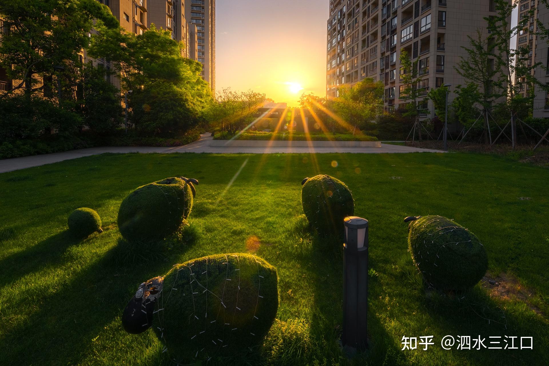 TAMRON收購鏡頭