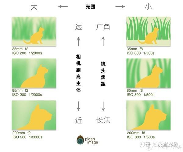 教老婆学摄影 | 第一课:景深和背景虚化 - 知乎