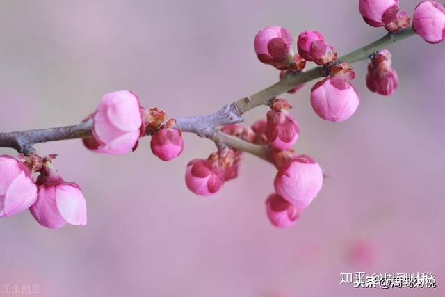 热门未来专业有哪些_未来最热门的专业_未来10大热门专业